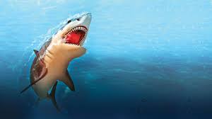 Is shark halal / what makes a fish halal ecommerce / in islam, all sea foods are halal (permitted) to eat. 20 000 Sharks Slayed For Fin Soup Fad Four Held