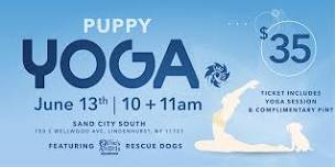 Ollie's Angels Animal Rescue Puppy Yoga at Sand City South