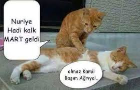 Gursel Ileri Ve Anlarsin