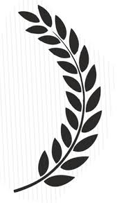 The best free photo editors out there. Morpholio Trace