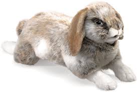 There are three different types of personalities. Folkmanis Rabbit Holland Lop Planet Happy De