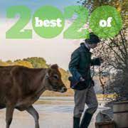 Yes , the film was quite good and is well regarded by the critics. Film Critic Top 10 Lists Best Movies Of 2020 Metacritic