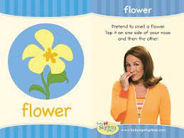 Whatever the occasion, our evergreen collection of colorful stems, blossoming plants, and fragrant arrangements have warmed hearts all across the country with our flower delivery services. Learn How To Sign Flower In Asl Signingtime Dictionary