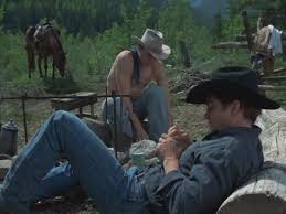 Der film erzählt den verlauf einer homosexuellen liebesbeziehung zweier cowboys während eines zeitraums von etwa 20 jahren, basierend auf der erstmals 1997 veröffentlichten kurzgeschichte brokeback mountain der schriftstellerin. Lighting In Brokeback Mountain Tonuasblog