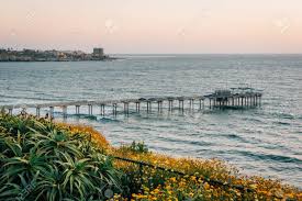 · wedding florists | 10.1 miles from la jolla, ca. Flowers And View Of Scripps Pier At Sunset In La Jolla Shores San Diego California Stock Photo Picture And Royalty Free Image Image 124397566