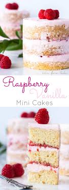 The chart assumes that your own basic recipe will be for a 20cm (8in) round cake that is 7.5cm (3in) deep, as this, at the time of writing, is the most common size. Raspberry Vanilla Mini Cakes Liv For Cake