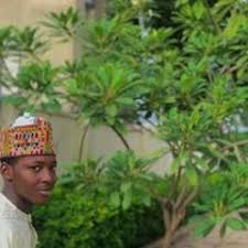Adelani adepegba, kayode oyero and sodiq oyeleke. Mubarak Moh D Attahiru S Stream