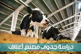 مشروع مصنع أعلاف دراسة جدوى مصنع اعلاف 2017 دراسة جدوى مصنع اعلاف Pdf دراسة جدوى مصنع اعلاف صغير 2017 تكلفة ان Coffered Ceiling Design Projects To Try Projects