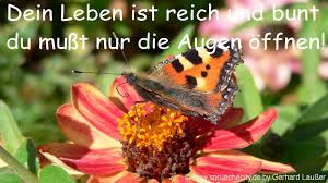 Gluckwunsche Zum Abitur Lustige Spruche Schulabschluss Bestanden Texte Karten