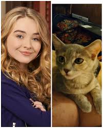 need help with something in New York?