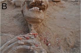 4500 year old skeleton found in Haryana