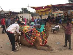 Fairs & festival the rajasthani's love for color and joyous celebrations, music, dance and festivals makes it one of the most colorful desert in the world. Pushkar Mela Rajasthan A Glimpse Of Rural India Unusual Traveler