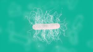 Diff foundation, on the c. Check Out Dr David Lyerly S Appearance On C Diff Spores And More Techlab Inc