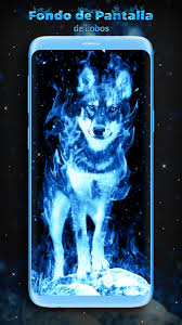 Fondos de pantalla de 3d. Fondo De Pantalla De Lobo Azul For Android Apk Download