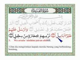 Hal ini sesuai dengan sebab diturunkannya surat ini. Al Fil Arab Latin Dan Terjemahannya Youtube