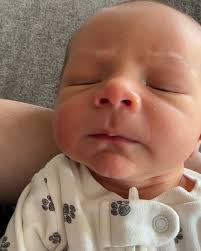 11 days of Cove 🫶🐬