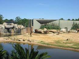 Zoo Boo Review Of Montgomery Zoo Montgomery Al Tripadvisor