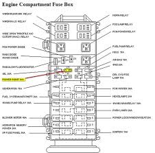 Every ford/lincoln/mercury owners manual has a complete set of charts and diagrams for both the fuse panel and the power distribution box. Ford Fuel Pump Relay Wiring Diagram Bookingritzcarlton Info Ford Ranger Fuse Box Ford