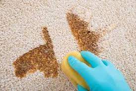 Check spelling or type a new query. How To Dry Wet Carpet