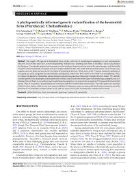 Image result for Cheilanthes angustifrondosa