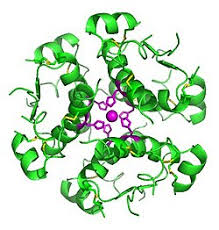 Image result for insulin