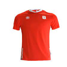 Camiseta america de cali colombia umbro 2019 oficial. America De Cali Jersey Jersey On Sale