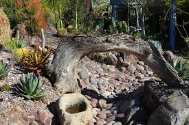 Xeriscape landscaping or, simply, xeriscaping, by definition is landscaping designed specifically for areas that are susceptible to drought, or for properties note that xeriscape is pronounced as if it began with the letter, z, which sometimes leads to the misspelling, zeroscape (as if it signified zero. Xeriscape Landscaping Photos Free Royalty Free Stock Photos From Dreamstime