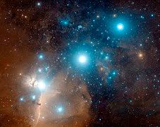 The orion nebula and horsehead nebula region photographed in a single frame. Horsehead Nebula Wikipedia