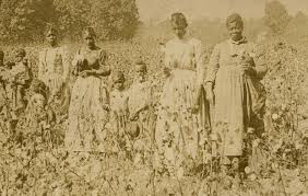 Users rated the unslaved black girlfriend teaser video videos as very hot with a 65% rating, porno video uploaded to main category: Episode 2 The Economy That Slavery Built The New York Times
