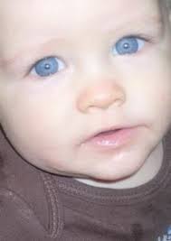 Kaydon Sillitoe Obituary