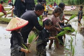 Sesuai dengan suasana lebaran atau hari raya idul fitri kalai ini, maka saya akan membagikan pada gambar mewarnai anak ini, cocok digunakan untuk latihan mewarnai anak tk (taman kanankanak). Ketika Anak Anak Tk Belajar Jadi Petani Di Banyuwangi Halaman All Kompas Com