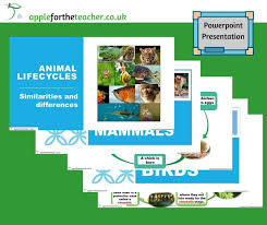 Easter holiday is celebrated on the first sunday of april every year. Lifecycles Of Different Animals Powerpoint Presentation Apple For The Teacher Ltd
