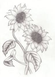 45 beautiful flower drawings and realistic color pencil drawings. How To Draw A Sunflower Easy Step By Step Drawing Guides Pencil Drawings Of Flowers Sunflower Sketches Sunflower Drawing