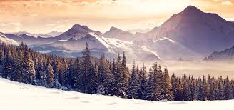 Eine maisonette ist eine mindestens zweistöckige wohnung in einem hochhaus, deren stockwerke durch eine treppe innerhalb der wohnung miteinander verbunden sind. Was Ist Eine Maisonette Wohnung Info Buchungstipps