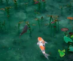 I often heard people say koi only grow to a certain size based on how large your pond is. What Are The Ideal Water Conditions For Healthy Koi