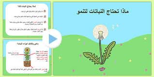 Free بوربوينت ماذا تحتاج النباتات لتنمو