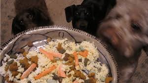 This type of bland, easily digested diet gives the intestinal tract a bit of a break while still providing needed calories and nutrients. Bland Diet Recipes For A Dog With An Upset Stomach Pethelpful