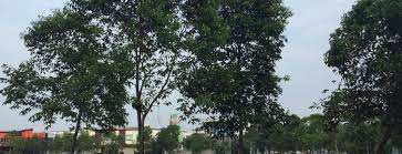 One day notice for sale: Totemdoesmyr