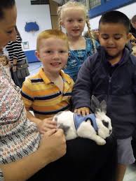 Pets blessed during annual event