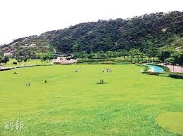 香港好去處 十大香港草地精選 一起享受在藍天白雲下發呆的時光 dolores park golf courses park