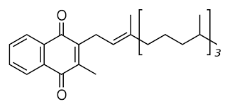 Тидного лиганда и других групп атомов). 12 5 Vitamin K Nutrition Flexbook