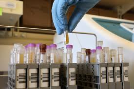 So why is the stock down? Novavax Vaccine Data From Its U S Phase 3 Trial Is Coming Soon Barron S