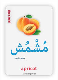 Learning Arabic Msa Fabiennem Apprendre L Arabe Apprendre L Anglais Langue Arabe