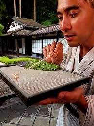 Exploring the Power of Zach King Magic Tricks