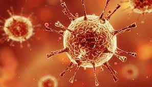 Most dangeorous type of coronavirus reveals by Indian scientists | भारतीय  वैज्ञानिकों ने किया कोरोना के सबसे खतरनाक रूप का खुलासा, A2a टाइप में बदला  | Hindi News, देश