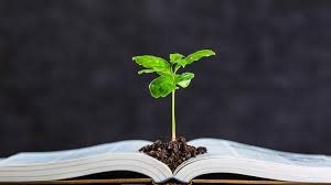 Green Education