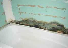 And once you have identified the location of the mold, you must do two things. The Mold Questions How To Remove Mold On Bathroom Walls Mold Cleans