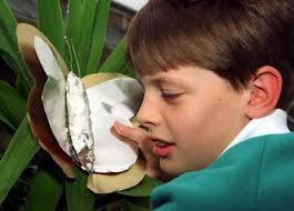 39 pictures taken at Lancaster's Dallas Road School date from 1950s to 2010s