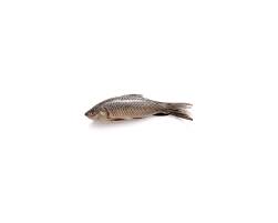 Rohu / Fish 2kg - 2 Hours Free Delivery Anywhere in Karachi Pakistan