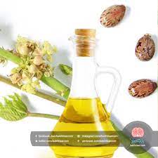 زيت الخروع يحفز نمو الشعر و يكثف الرموش و الحواجب و يطيل الأظافر صحة طب أشعاب فوائد باختصار food wine decanter barware